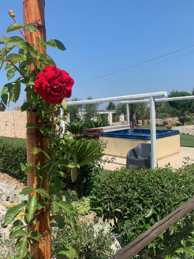 B&B Villa Grassi Alberobello Bagian luar foto