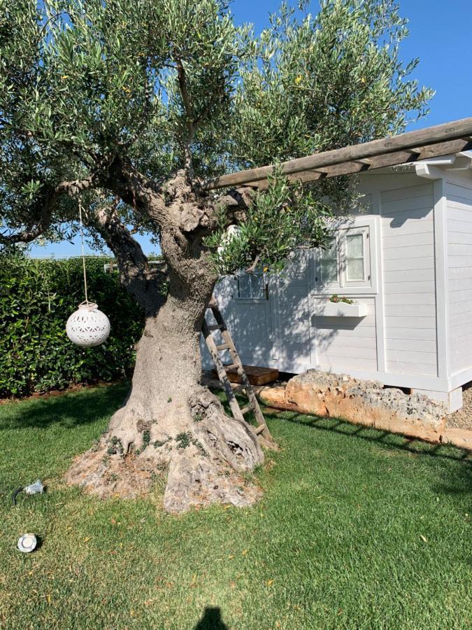 B&B Villa Grassi Alberobello Bagian luar foto