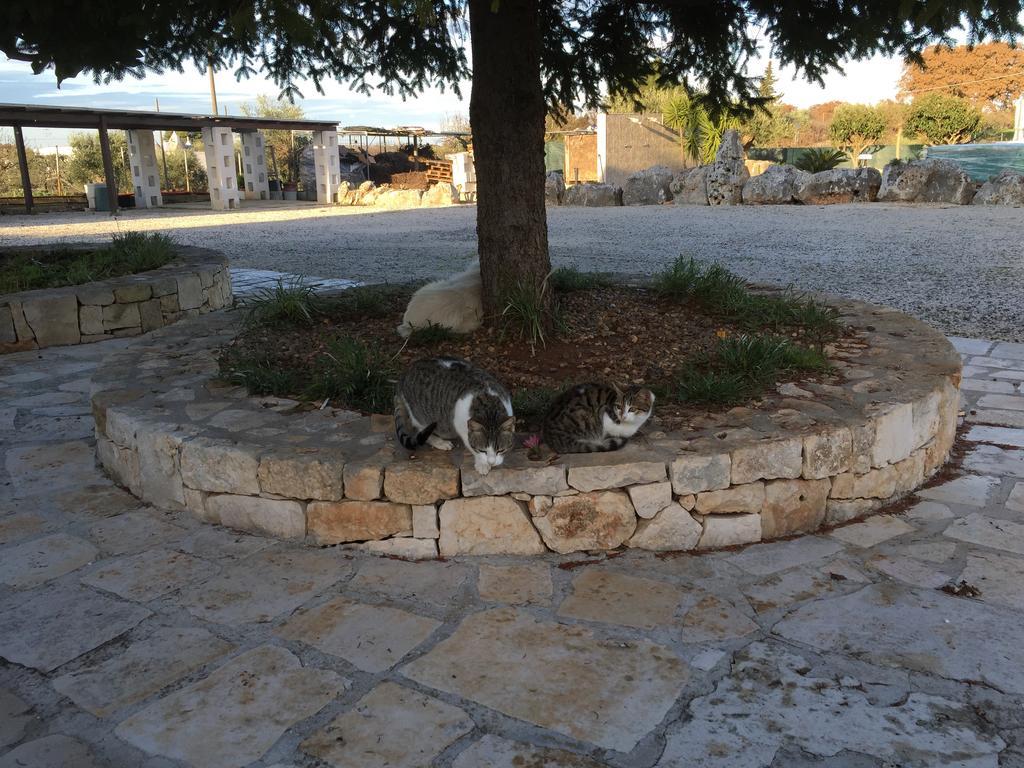 B&B Villa Grassi Alberobello Bagian luar foto