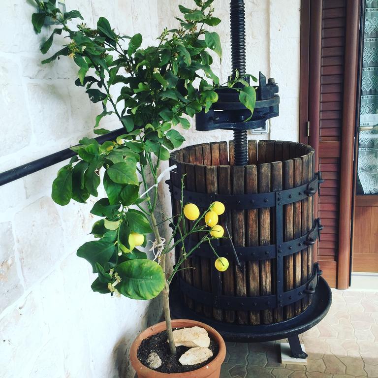 B&B Villa Grassi Alberobello Bagian luar foto